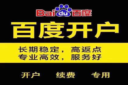 成功案例：一家企业如何通过百度关键词推广实现业绩翻倍